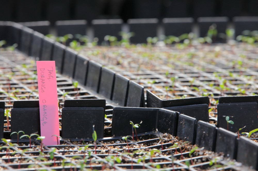 LaurPuut_03_iso_1500