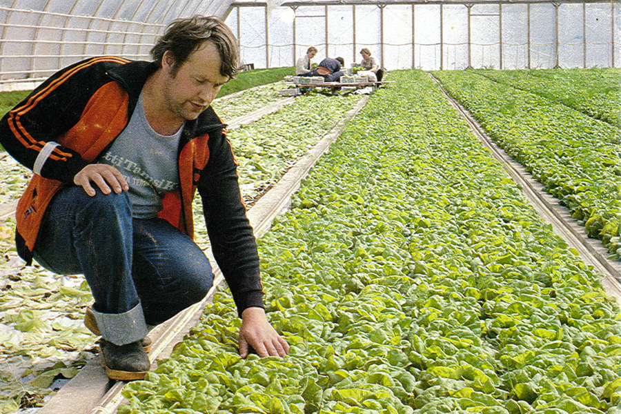 Tamsi Matti permanto 2_k_p